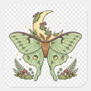 Search for luna moth stickers Cottagecore