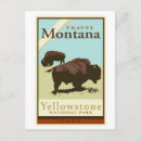 Search for yellowstone bison postcards Retro