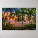 Search for tropical beach posters Landscape