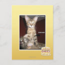 Search for idiotic postcards I can has cheezburger