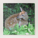 Search for cute fawn Adorable