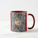 Search for male and female cardinal mugs Nature