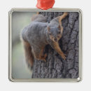 Search for funny squirrel christmas tree decorations Cute