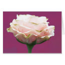 Search for isoler cards Bloom