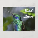 Search for bird lover postcards Beautiful