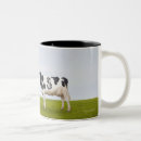 Search for holstein cow mugs Rural scene
