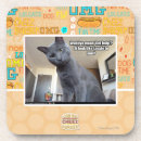 Search for help coasters I can has cheezburger
