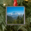 Search for mountains christmas tree decorations National park
