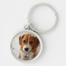 Search for beagle photos key rings Puppy