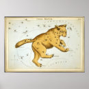 Search for ursa posters Sky