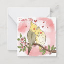 Search for parrots valentines day cards Heart