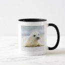 Search for baby seal mugs Animals