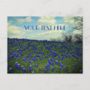 Search for texas bluebonnet postcards Blue flowers