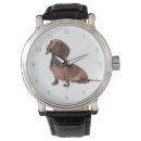Search for doxie watches Pet