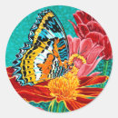 Search for bright butterfly stickers Insect