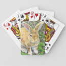 Search for furry playing cards pet