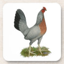 Search for hen coasters Chicken