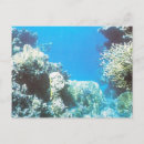Search for scenery postcards Sea
