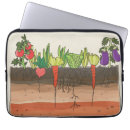 Search for vegetable cases Garden