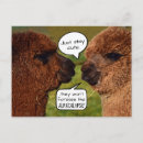 Search for alpaca postcards Funny