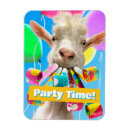 Search for exciting magnets Party