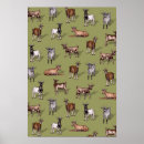 Search for herd posters Animal