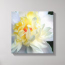 Search for peony canvas prints White