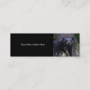 Search for black bear business cards Outdoors