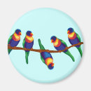 Search for rainbow magnets Tree