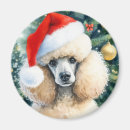 Search for poodles magnets Cute