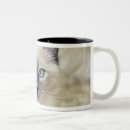 Search for shoulder mugs Front view