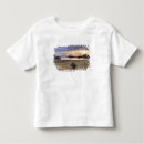Search for komodo tshirts Indonesia
