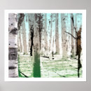 Search for birches posters Woodland