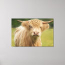 Search for highland cow art Wall