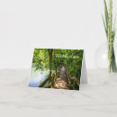 Search for tranquility cards Photography