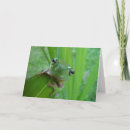 Search for toad picture cards Animal