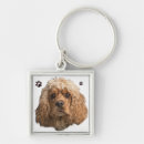 Search for cocker spaniel key rings Cute