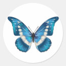 Search for colourful butterfly stickers Wildlife