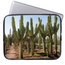 Search for cactus laptop cases Plant