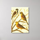 Search for bird canvas prints Tree