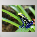 Search for darts posters Central america