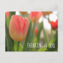 Search for reds postcards Botanical