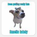 Search for smell stickers Pets