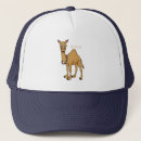 Search for camel hats Animal