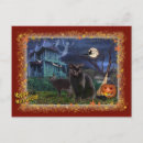 Search for spooky cat postcards Haunted