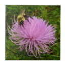 Search for thistle tiles Wildflower