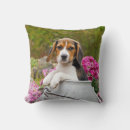 Search for beagle dog cushions Funny