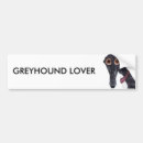Search for whippet bumper stickers Greyhound