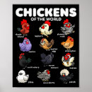 Search for funny chicken cartoon posters Farm
