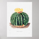 Search for flowering plants posters For her